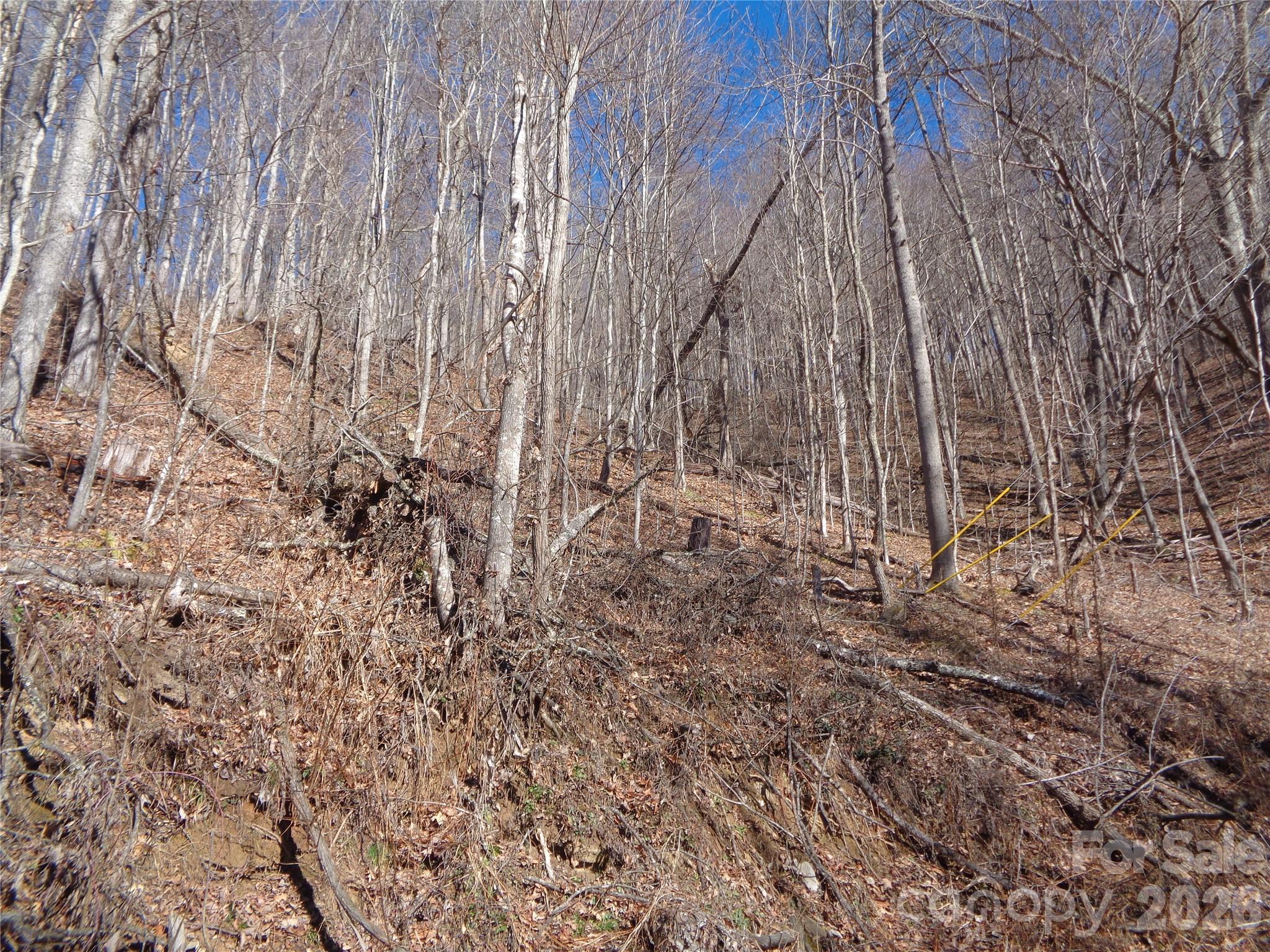 Sacred Cove Estates - Land