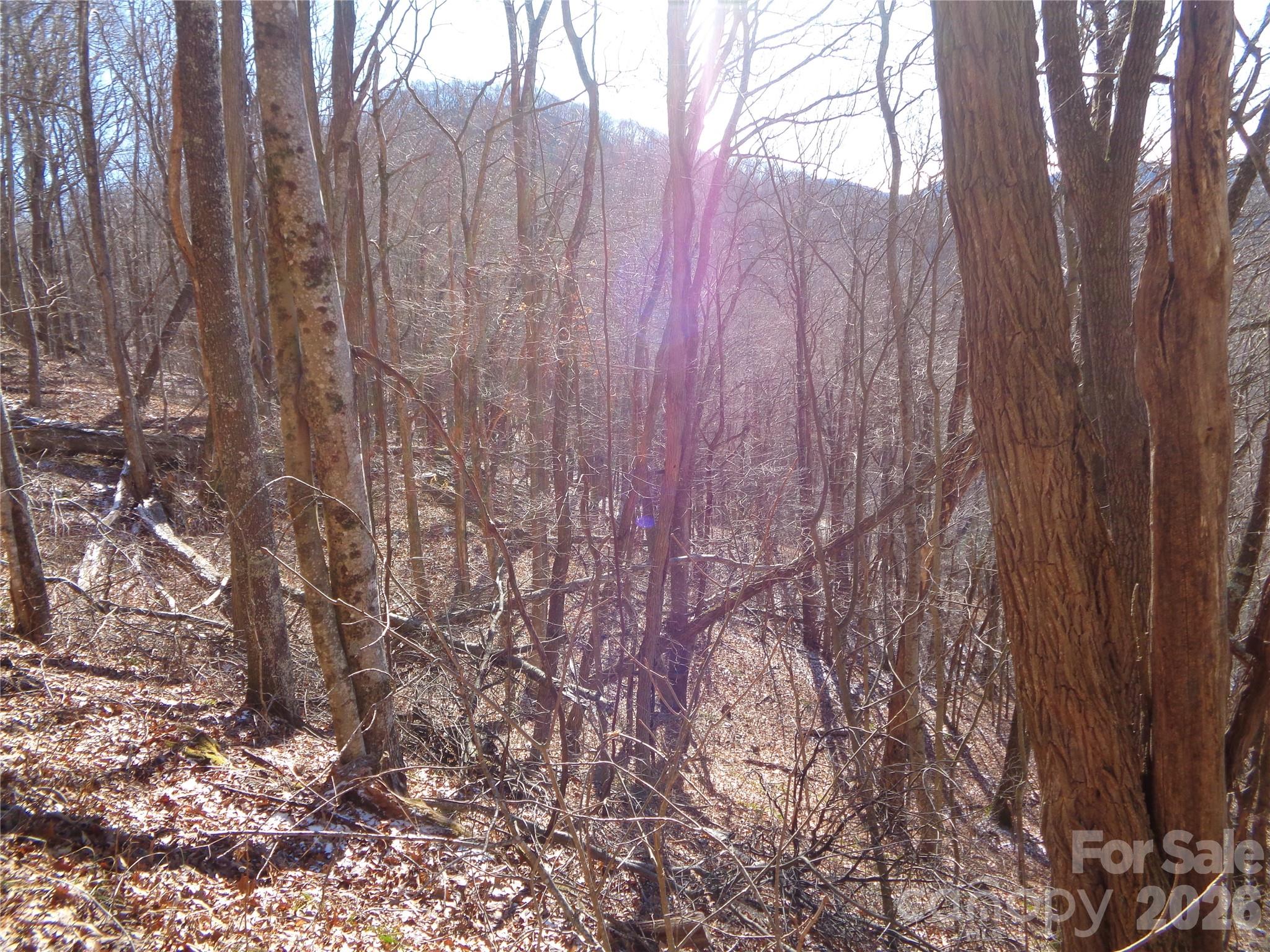 Sacred Cove Estates - Land