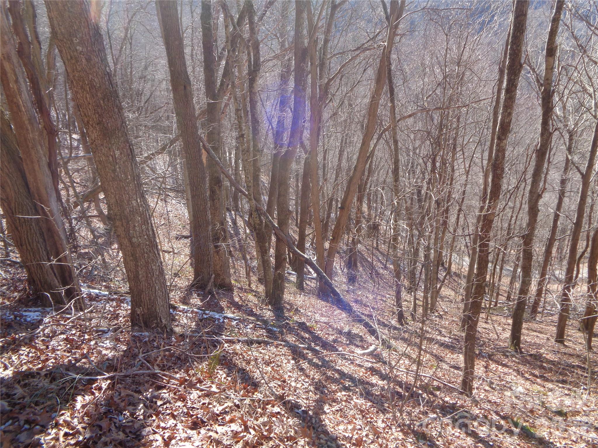 Sacred Cove Estates - Land