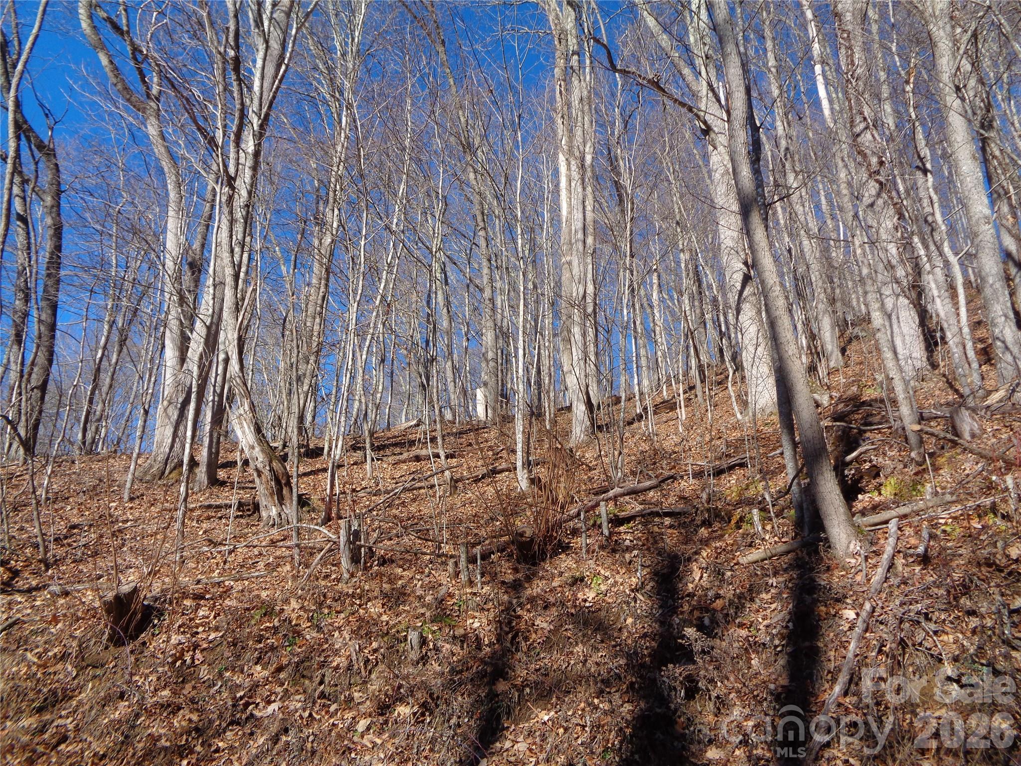 Sacred Cove Estates - Land