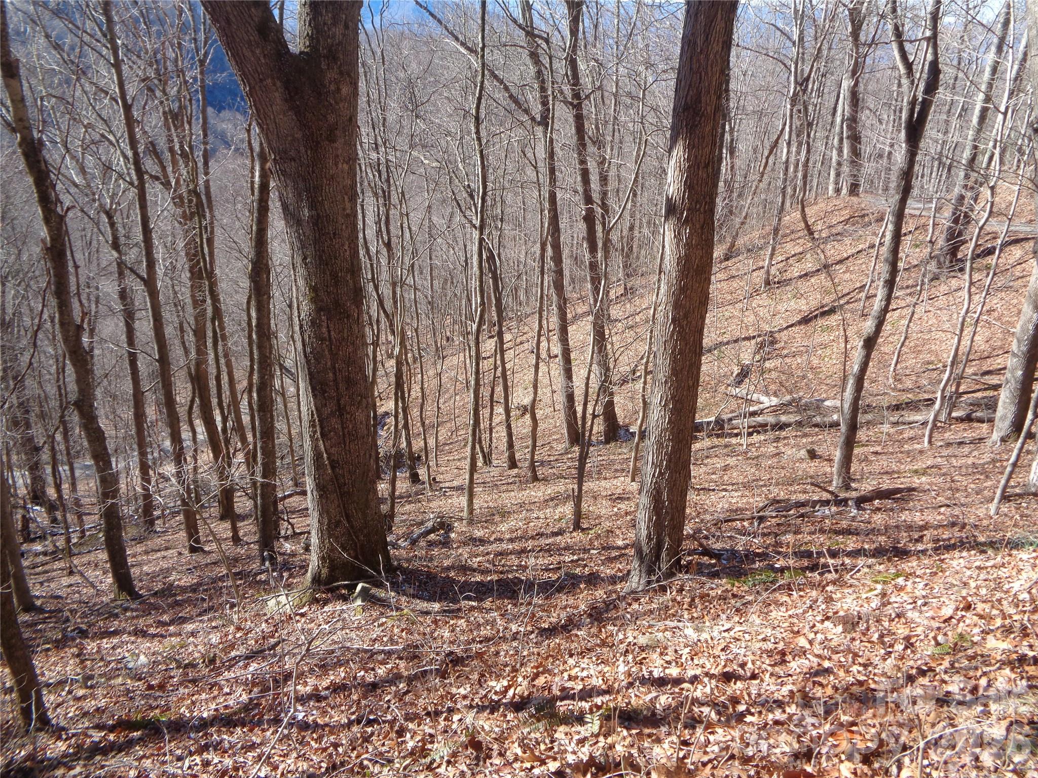 Sacred Cove Estates - Land