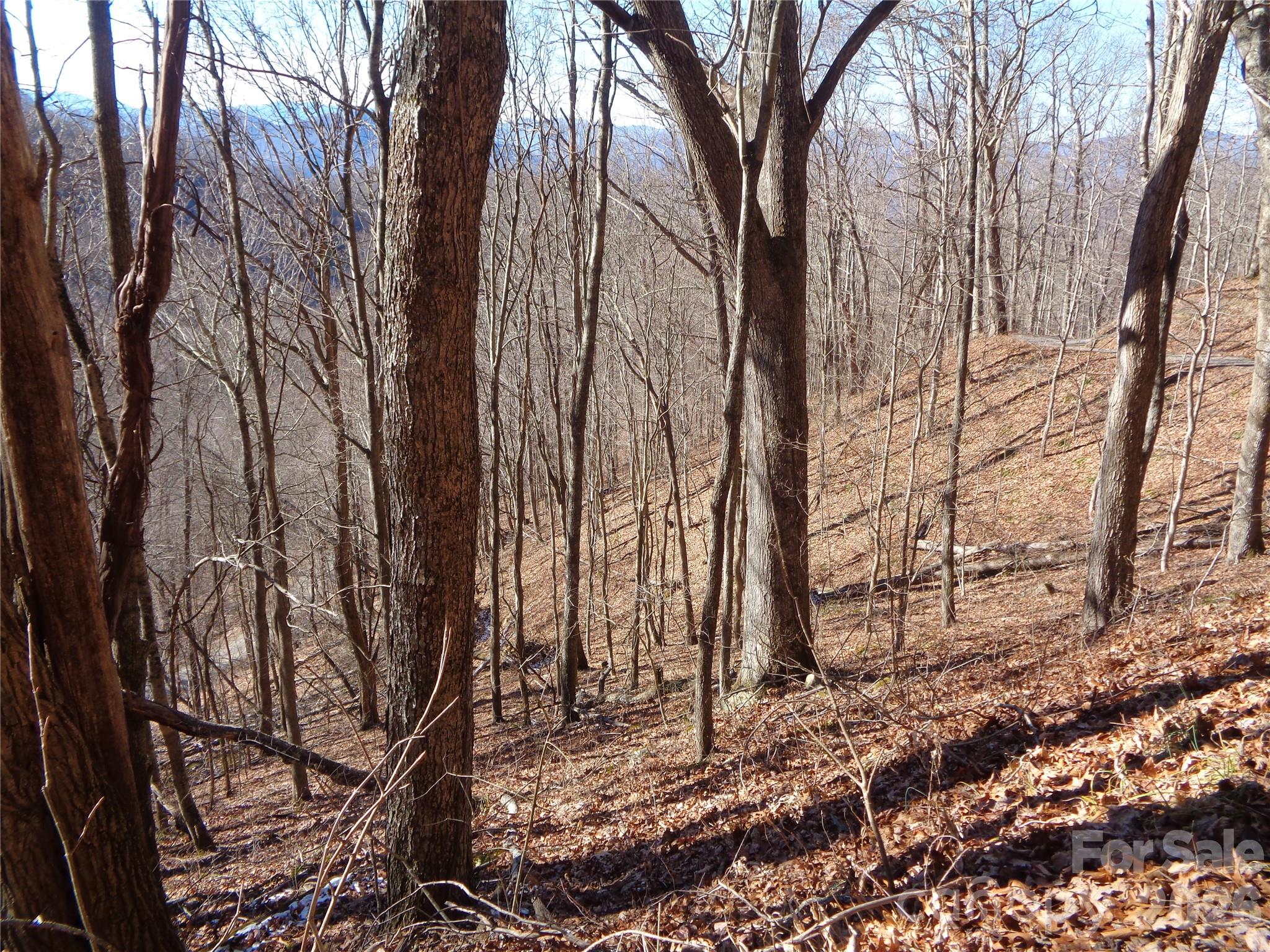 Sacred Cove Estates - Land