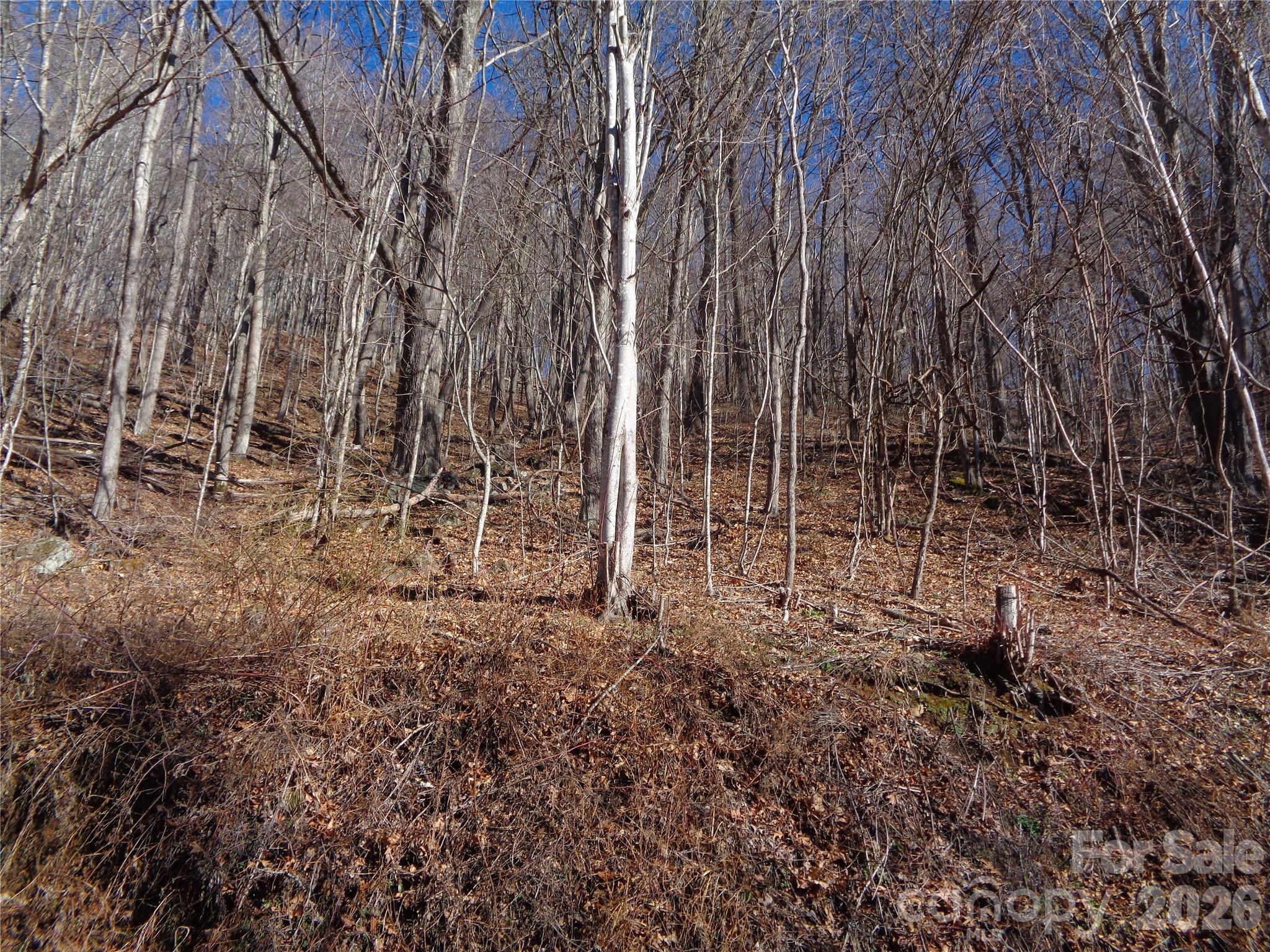 Sacred Cove Estates - Land