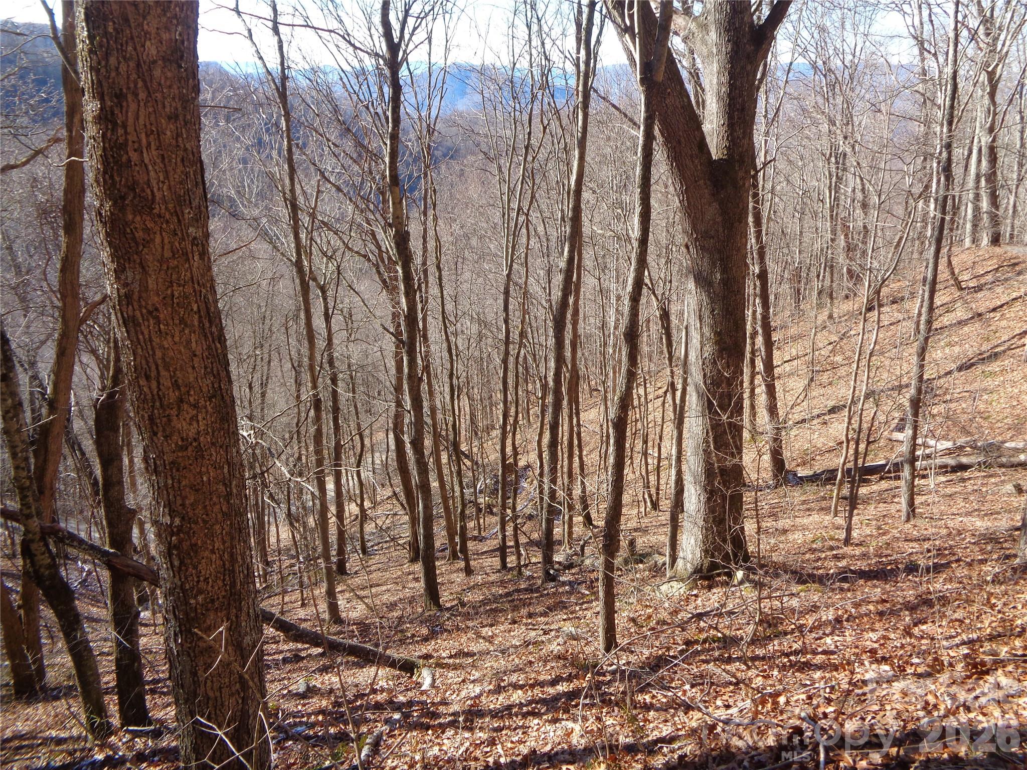 Sacred Cove Estates - Land