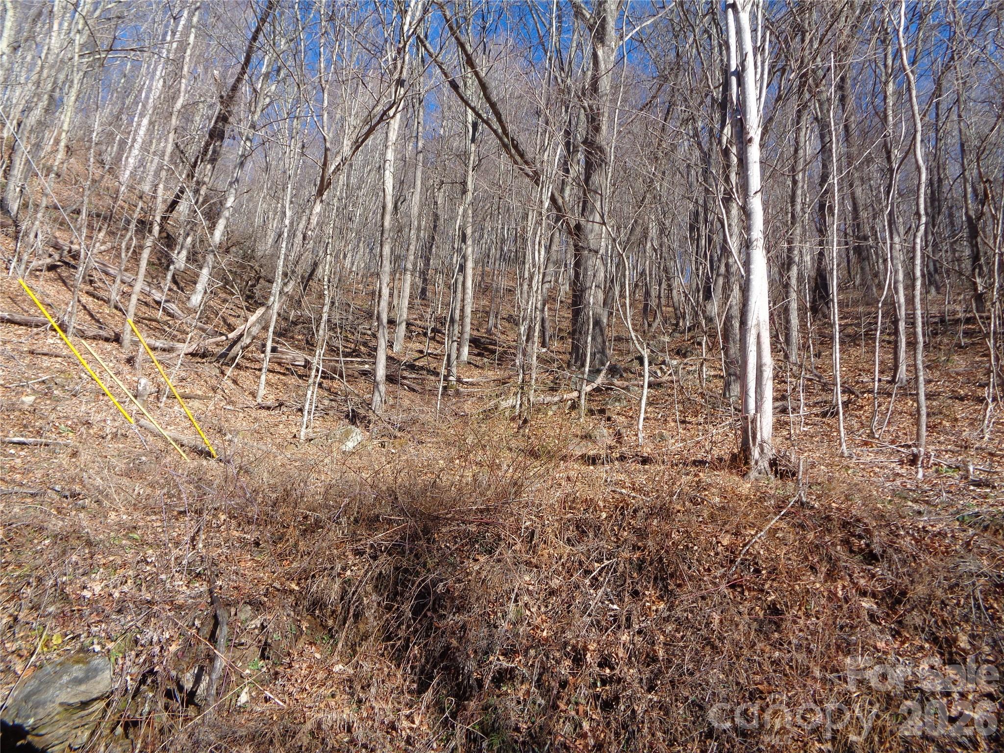 Sacred Cove Estates - Land