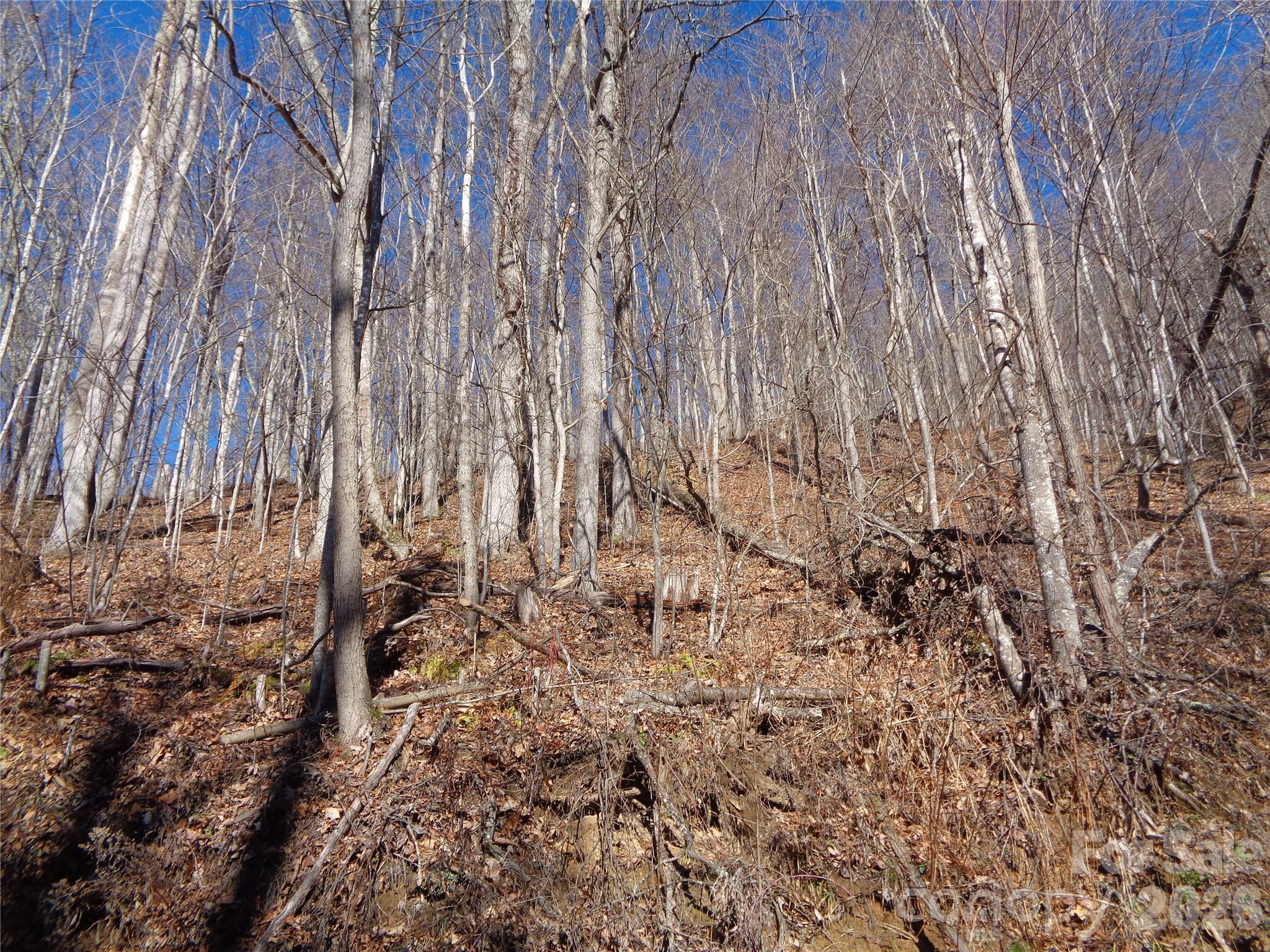 Sacred Cove Estates - Land