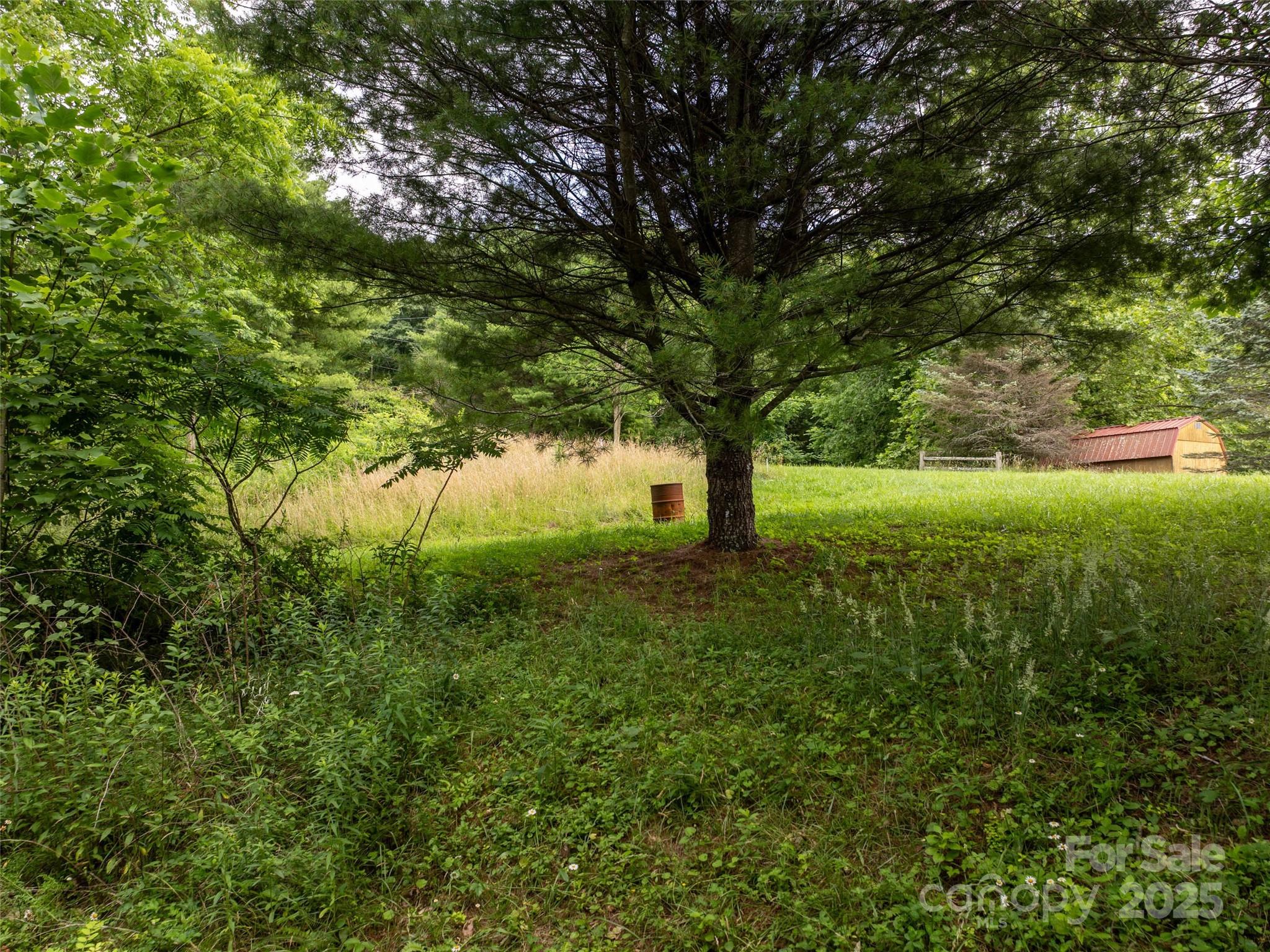 Hyder Mountain Acres - Land