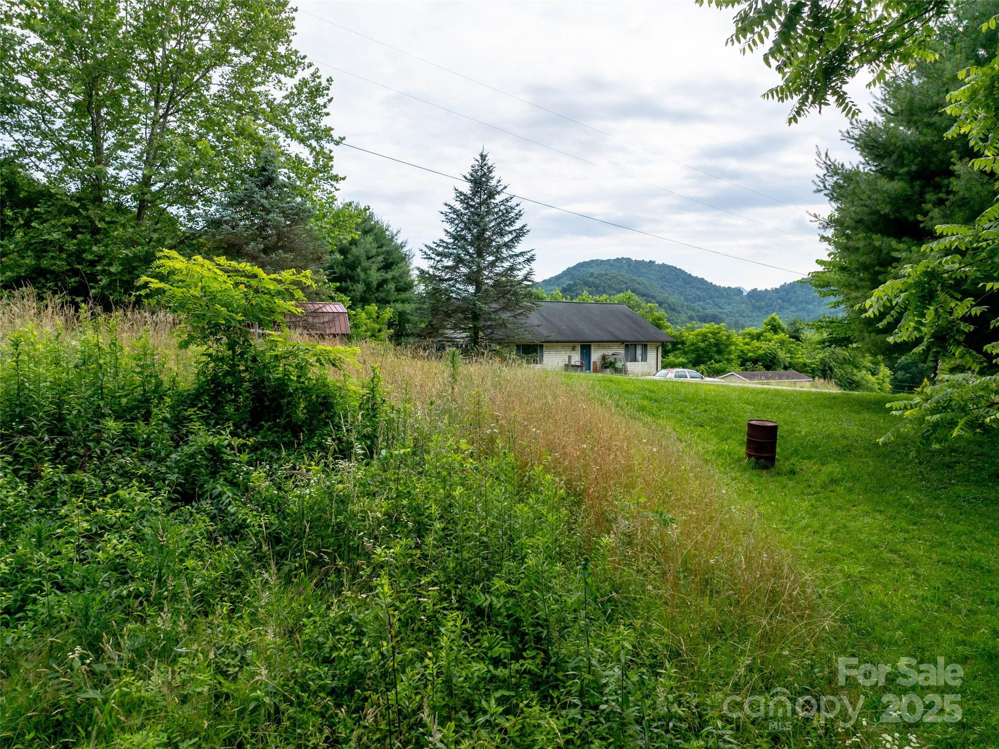 Hyder Mountain Acres - Land