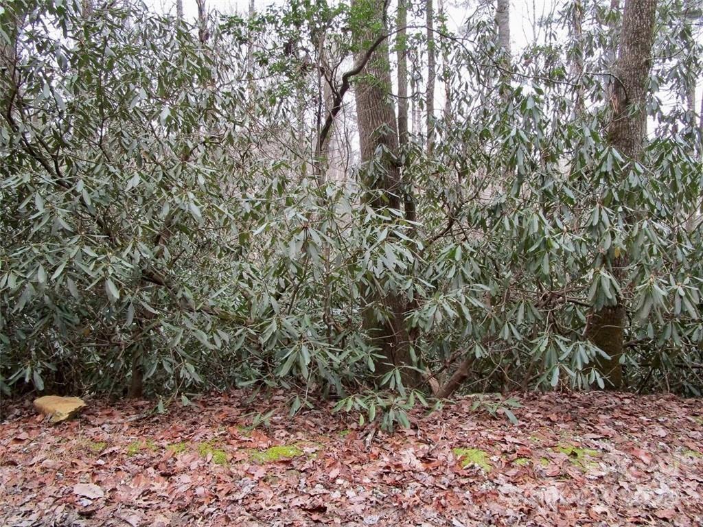 Toxaway Falls - Land