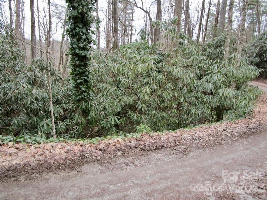 Lot #21 in beautiful Lake Toxaway Falls offers a nice build site for your mountain dream home. Just up from the falls, you will find an ideal build site with access to ample hiking and adventure via Gorges State Park. Minutes from both Dupont State Forest and Pisgah National Forest, let your outdoor dreams come to life at Toxaway Falls. Known for its breezy summers, magnificent views, breathtaking leaf season, and icy winter wilderness, take advantage of the vacation rental market and capitalize off the allowance of short terms rentals with your next build! Adjoining Lot #22 is also available!