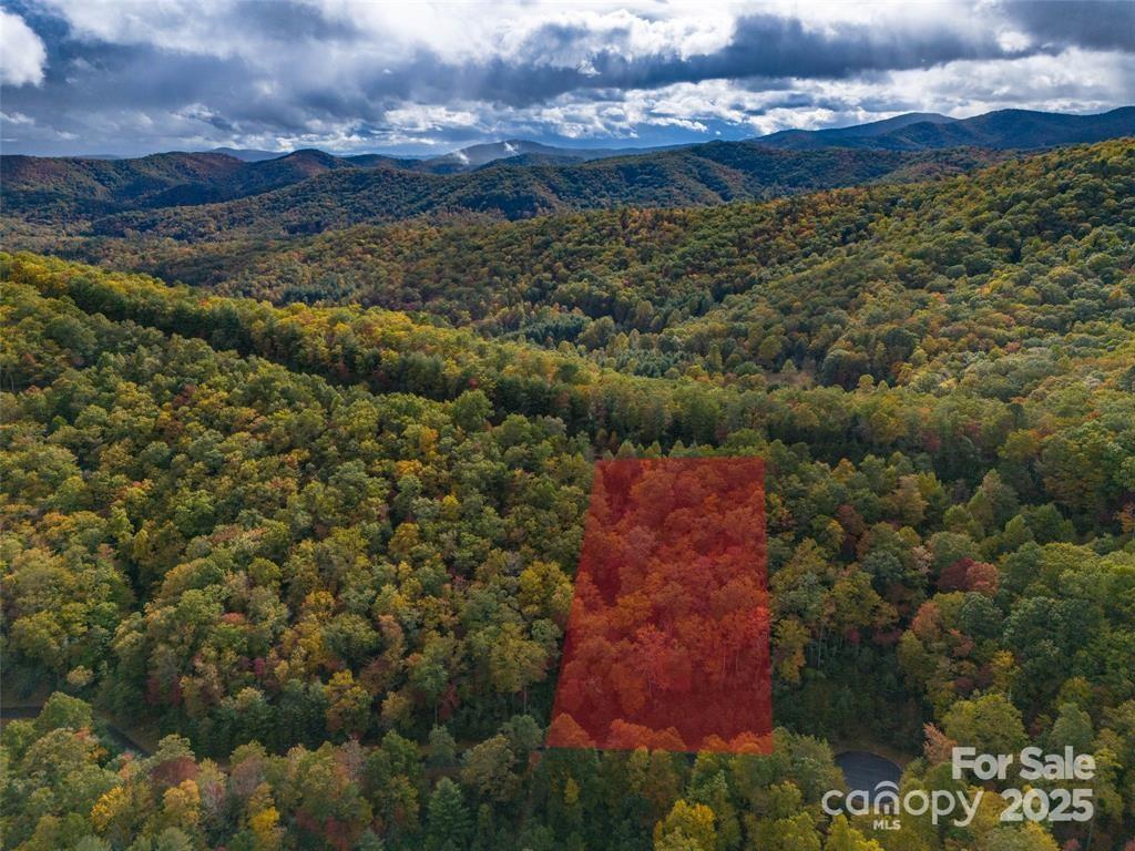 99999 Mills River Way Lot 107