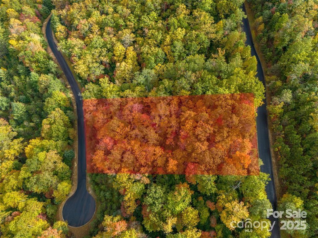 99999 Mills River Way Lot 107