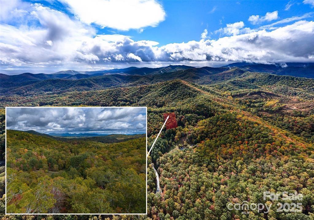 Homestead at Mills River - Land