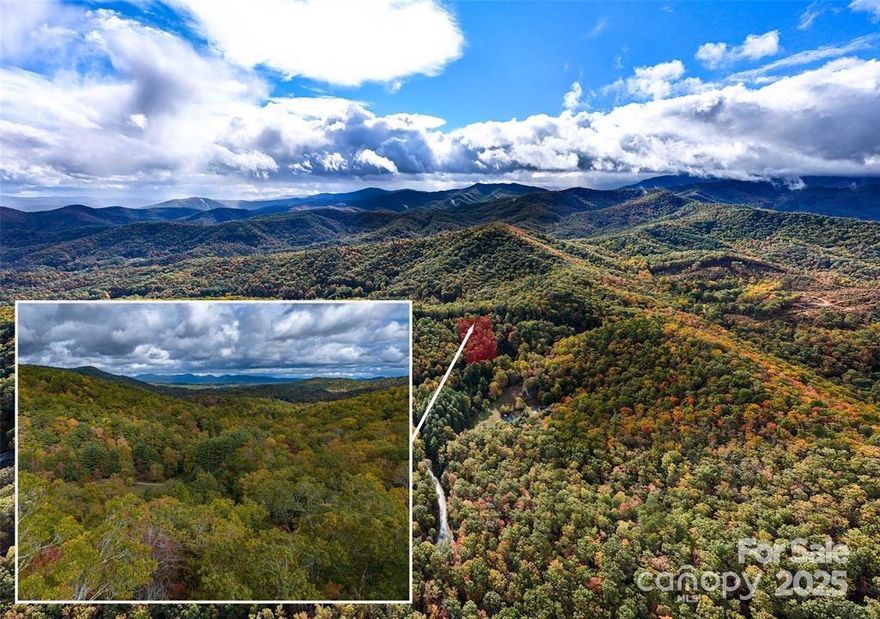 Build your mountain getaway on this amazing lot, with access from two roads. Long range views possible with clearing, or enjoy your privacy by retaining the natural winter views. Located in the gated community of Homestead at Mills River, enjoy easy to drive paved streets with street lamps. Buried utilities in the community include power, gas, and internet/phone.