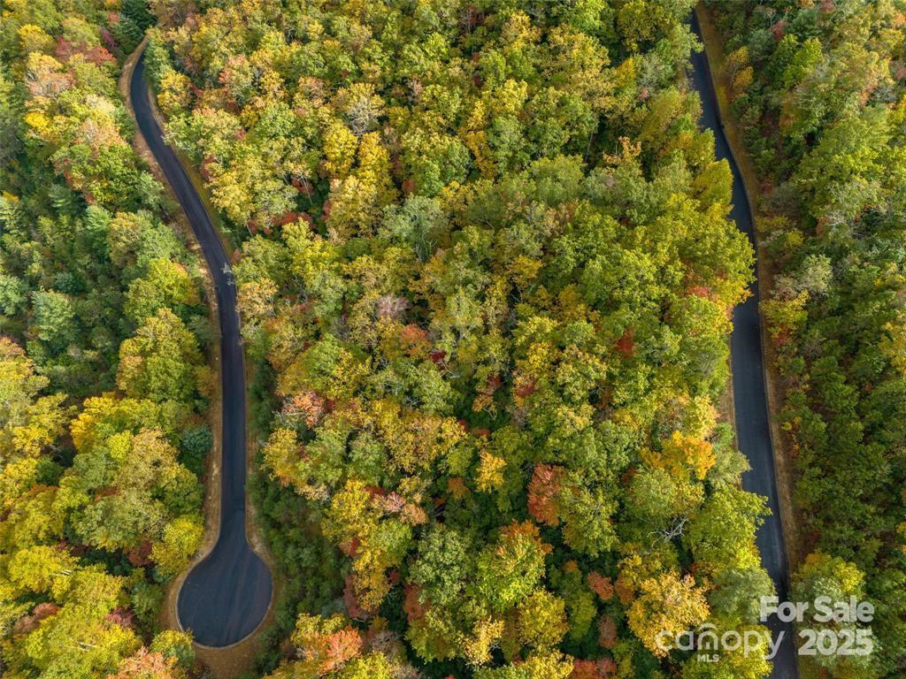 99999 Mills River Way Lot 107