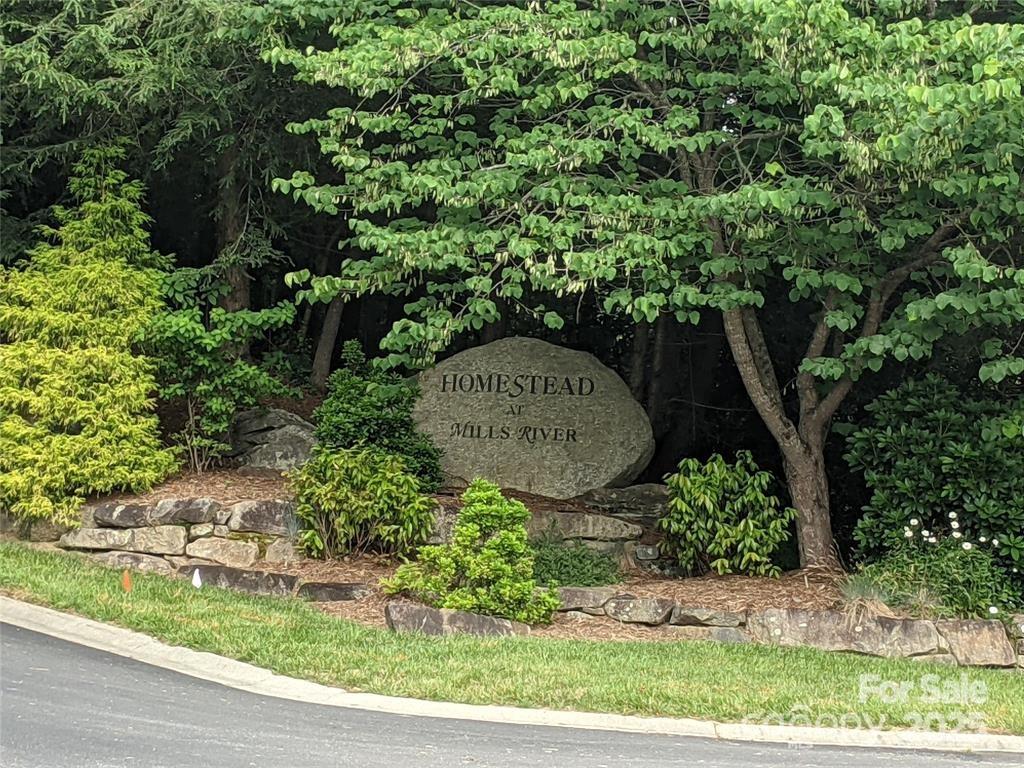 Homestead at Mills River - Land