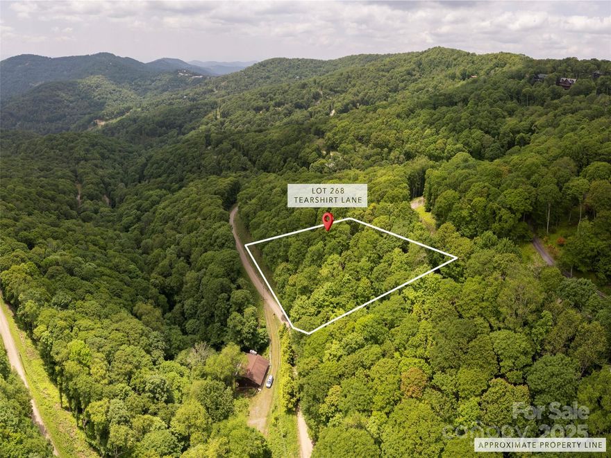 PRICED BELOW TAX VALUE! Experience the beauty of Wolf Laurel - Western NC's hidden gem for those seeking mountain living at its best! This  magnificent, gated community, featuring Hatley Point Ski Resort, recently reinvented and called by Forbes "a luxury boutique resort, is a story of vision, persistence, and community impact." Coming soon: Mountain Biking trails like no other, in partnership with Elevated Trail Design. Looking to recharge? Hatley Pointe Wellness Retreat is coming soon. The beautiful Lodge features Smoke & Timber, bringing elevated American classics with cozy lodge charm. Hatley Pointe is just the tip of the iceberg - the Wolf Laurel Country Club offers resort-style activities, including breathtaking views from its restaurant and the scenic Wolf Laurel Golf Course. The POA's Village Club offers swimming, trout fishing, pickleball, tennis, a kid’s playground, basketball, 22 hiking trails AND MORE! Bring your vision for your future mountain retreat to Wolf Laurel! Lot elevation over 4,500 ft.