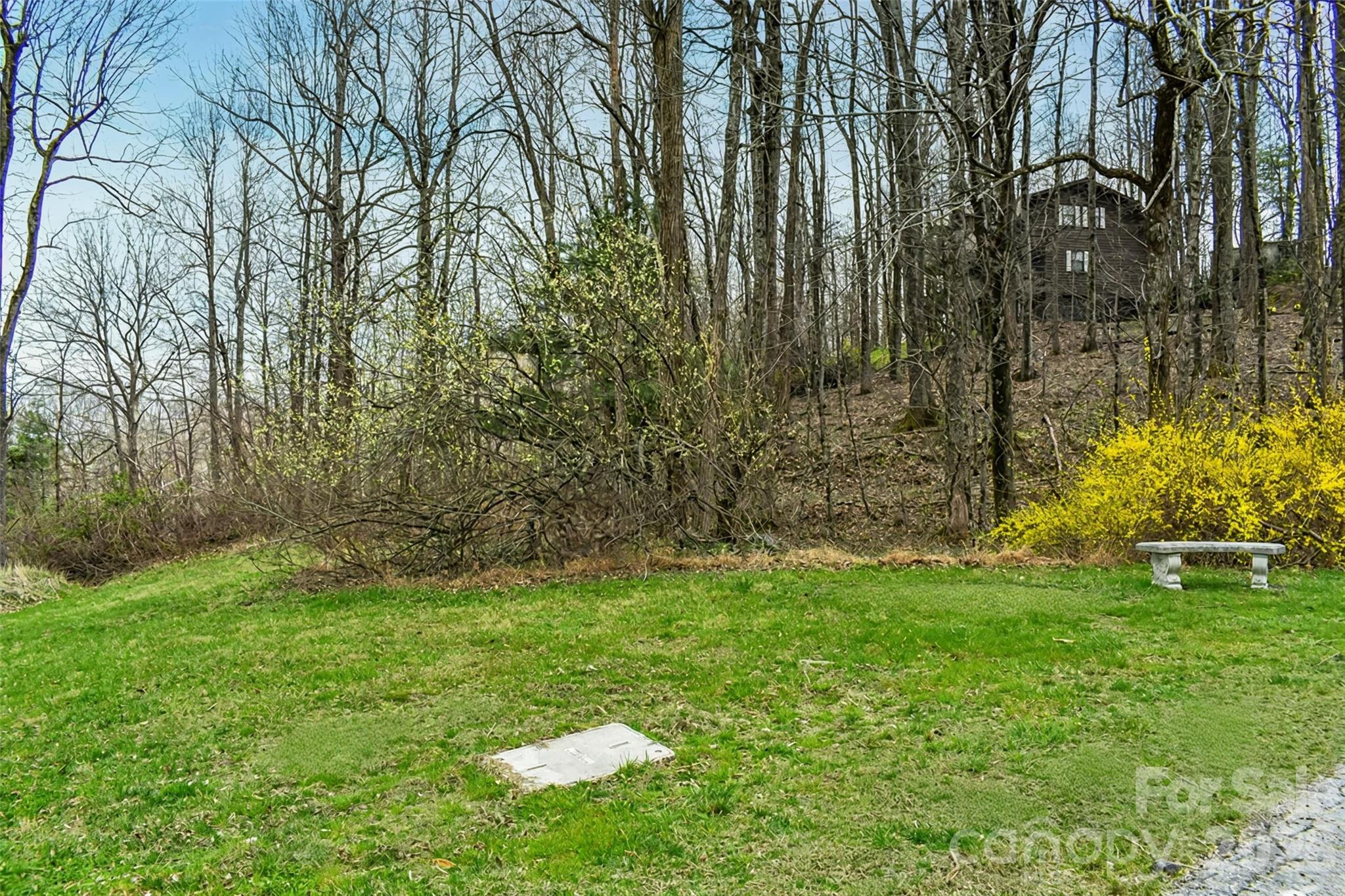 Photo 1 of 10 — 252 Pinewood Circle, Hendersonville, NC 28739