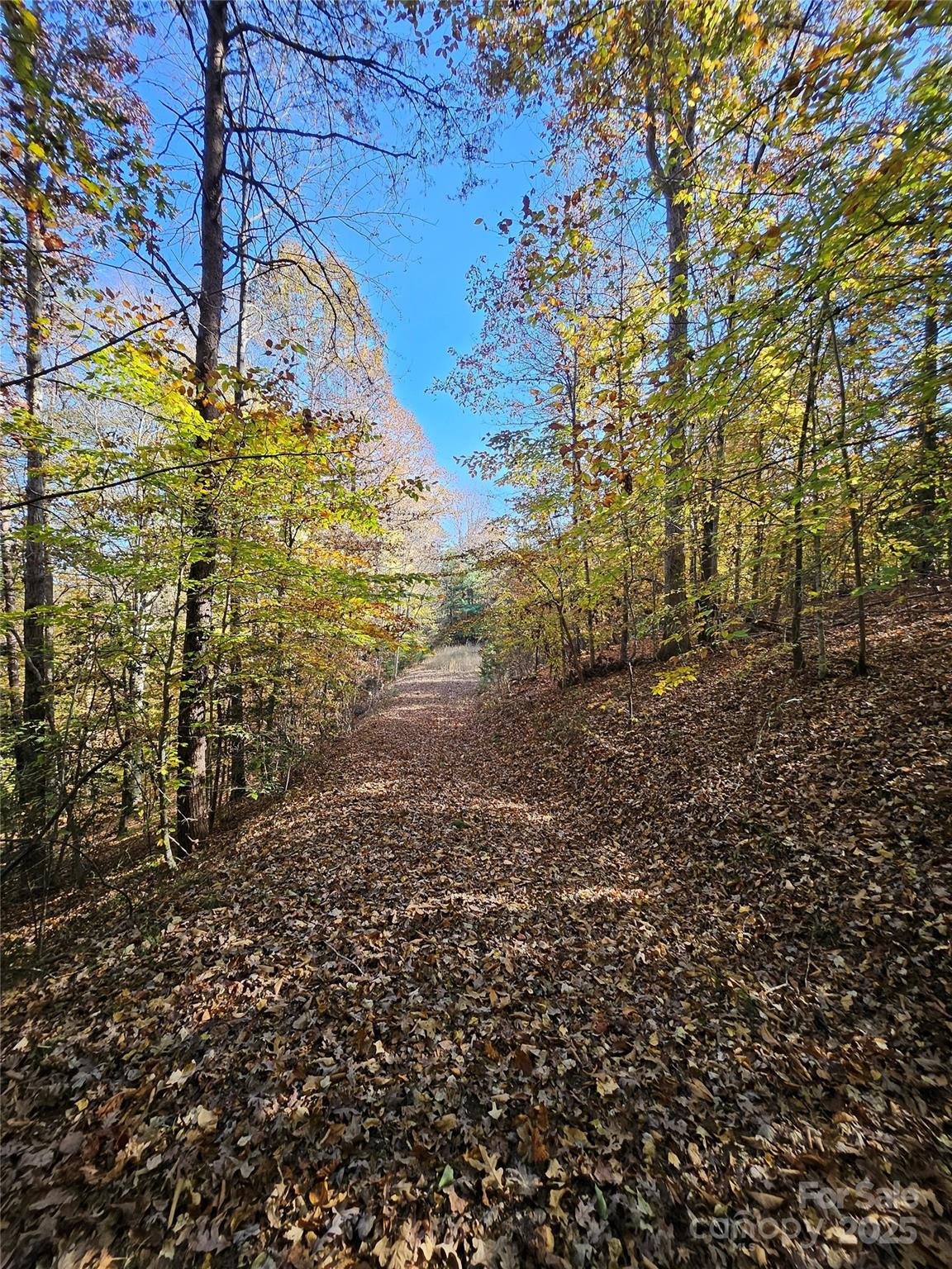 125 Big Cedar Drive SEPTIC INSTALLED