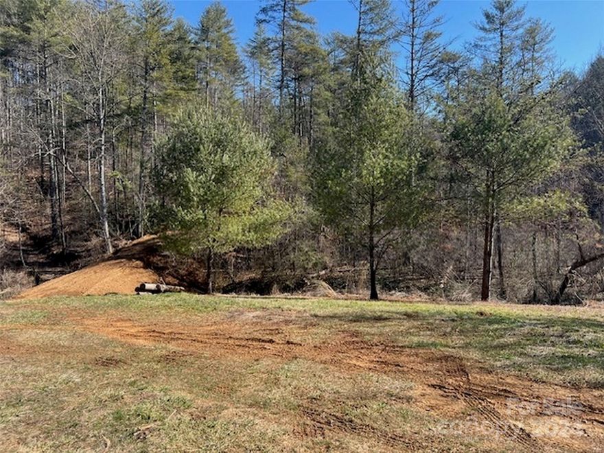 Don't miss the opportunity to own this prime piece of real estate. Multiple build sites on property,
and second driveway is roughed in. Located just 10 minutes from Main Street Weaverville and 20 minutes from
downtown Asheville. Property is being sold AS-IS. Shed on property to convey. (There is a current property boundary line overlap. See attachment. Sellers are working on getting this rectified with owner of neighboring property.)