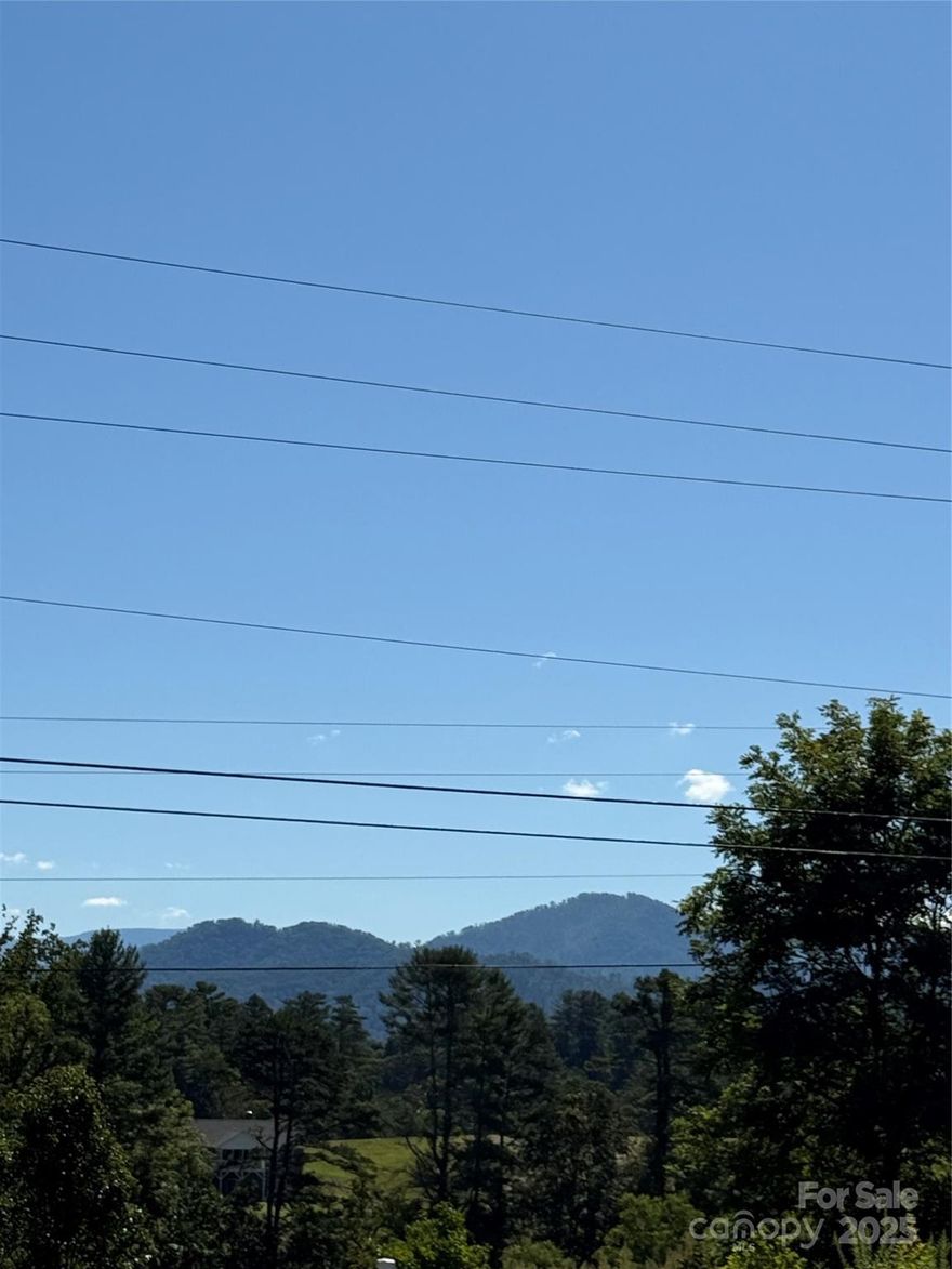 4.11 Acres for your home or homes in Weaverville Area.  The top has beautiful long range views and it slopes downward to the bottom of the property from there.  Much of the acreage is pasture and easy to stroll.  Builders take note, easy access from Eller Ford Road.