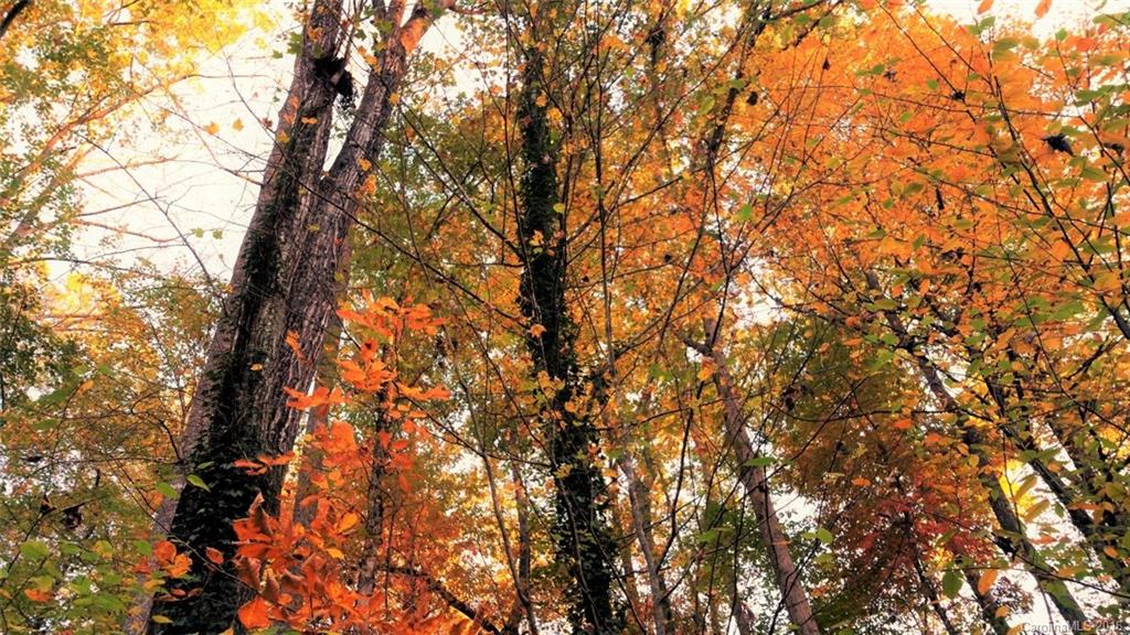 Tall Timbers - Residential