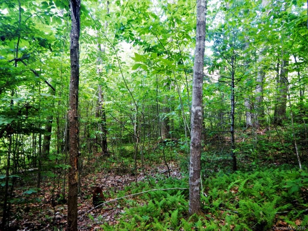 Tall Timbers - Residential