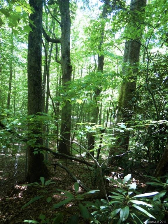 Tall Timbers - Residential