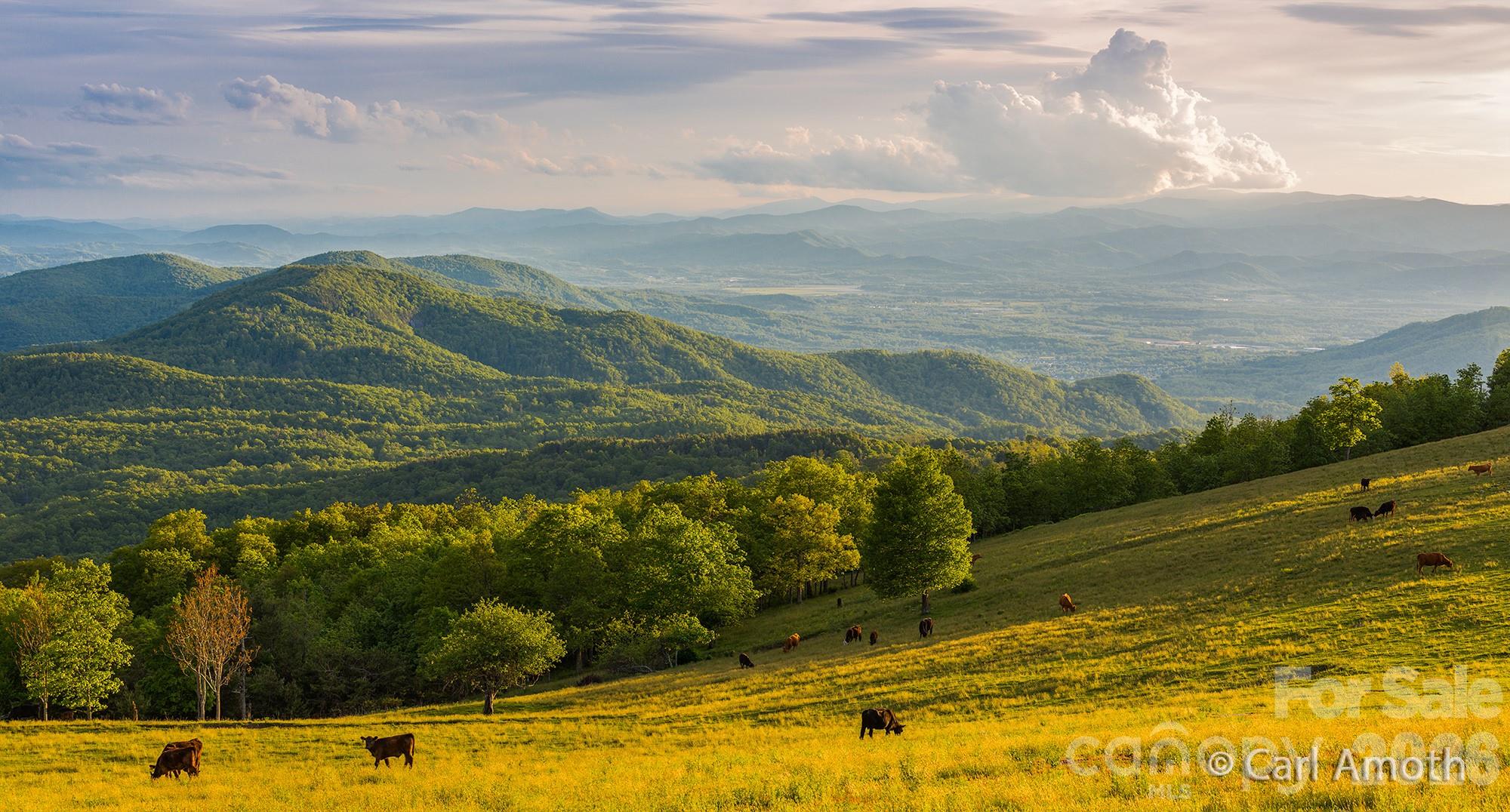 Grand Highlands at Bearwallow - Land