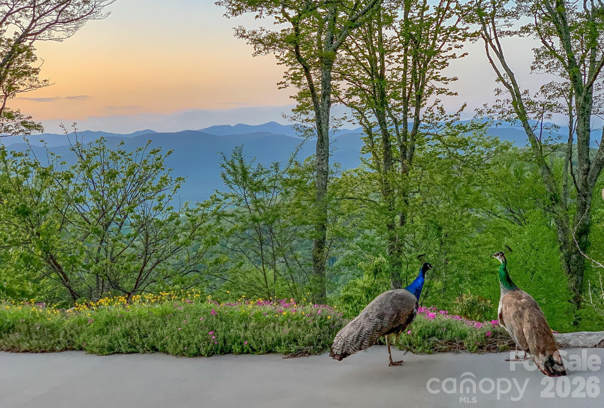 4642 Bearwallow Road