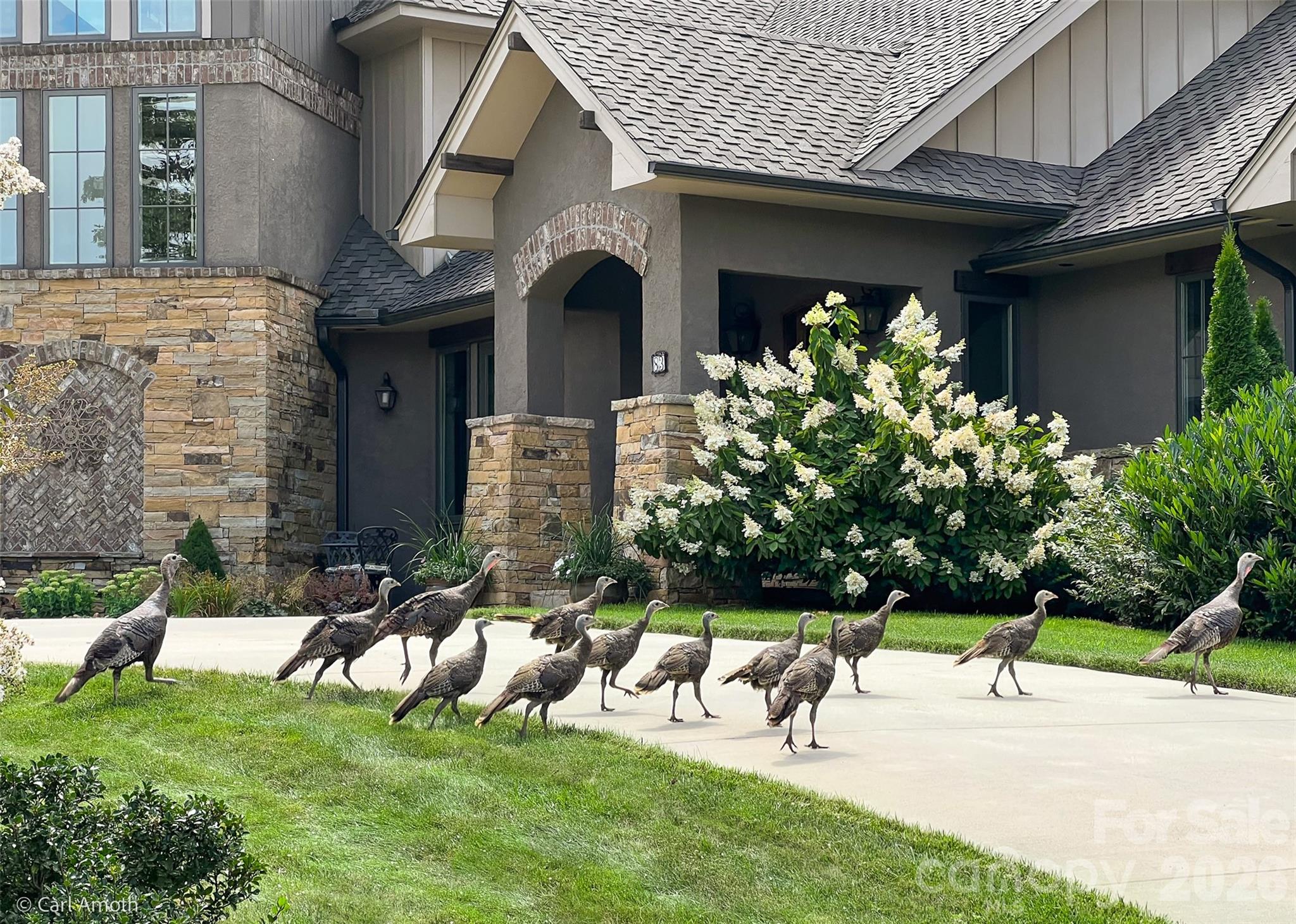 4642 Bearwallow Road