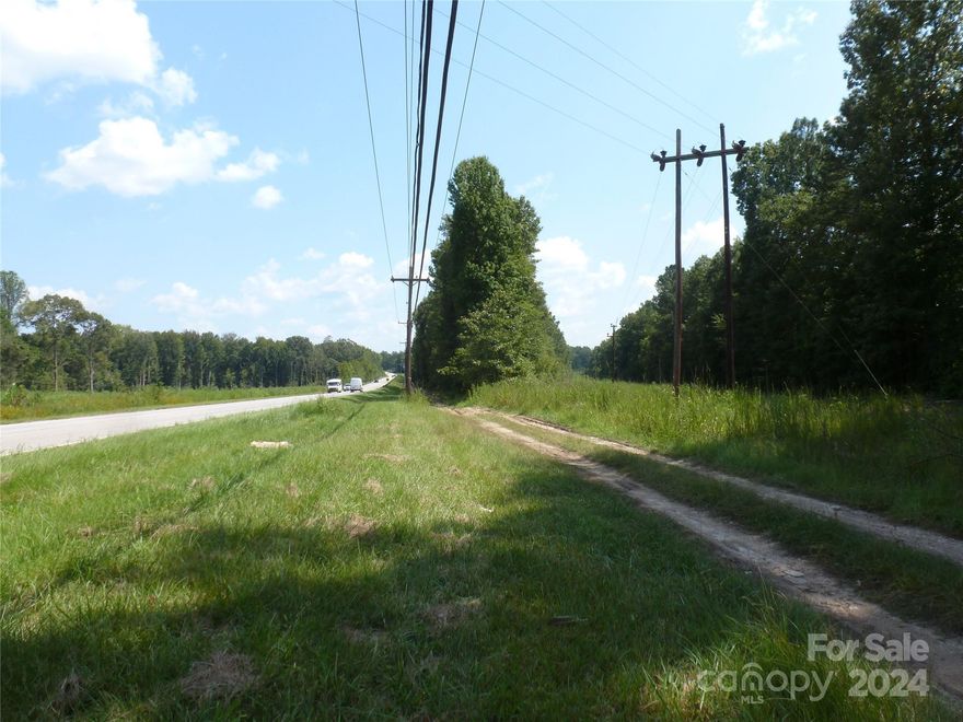 Potential for development or single family.  15.12 Acres on W Meeting St (Pageland Hwy).  Close to the hospital.