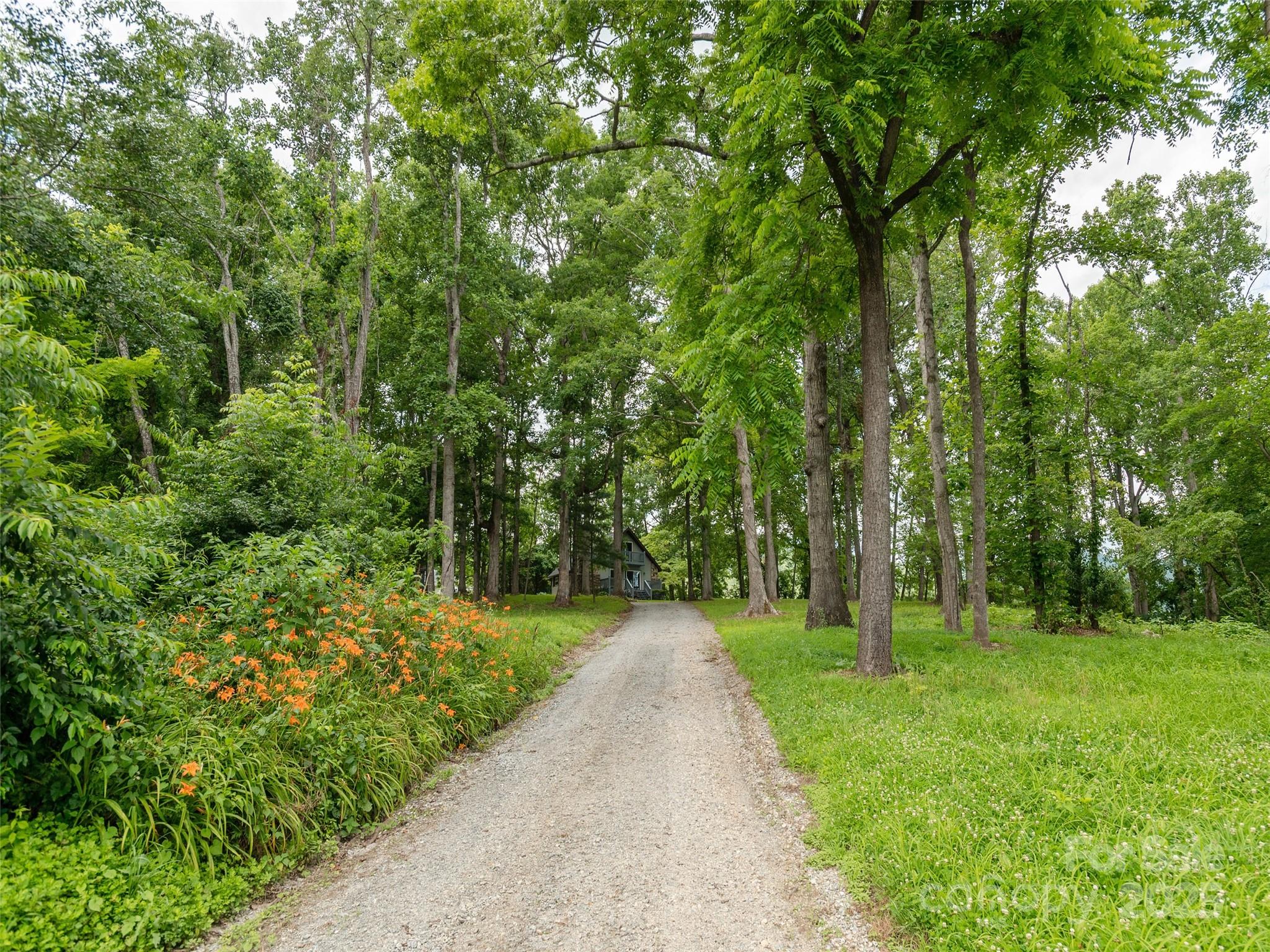2771 Old Clear Creek Road