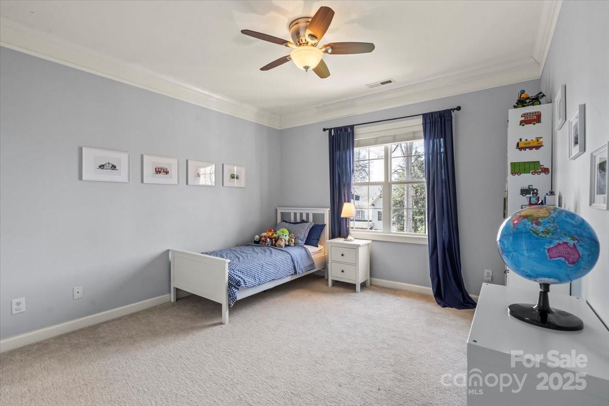 Macaulay - Residential