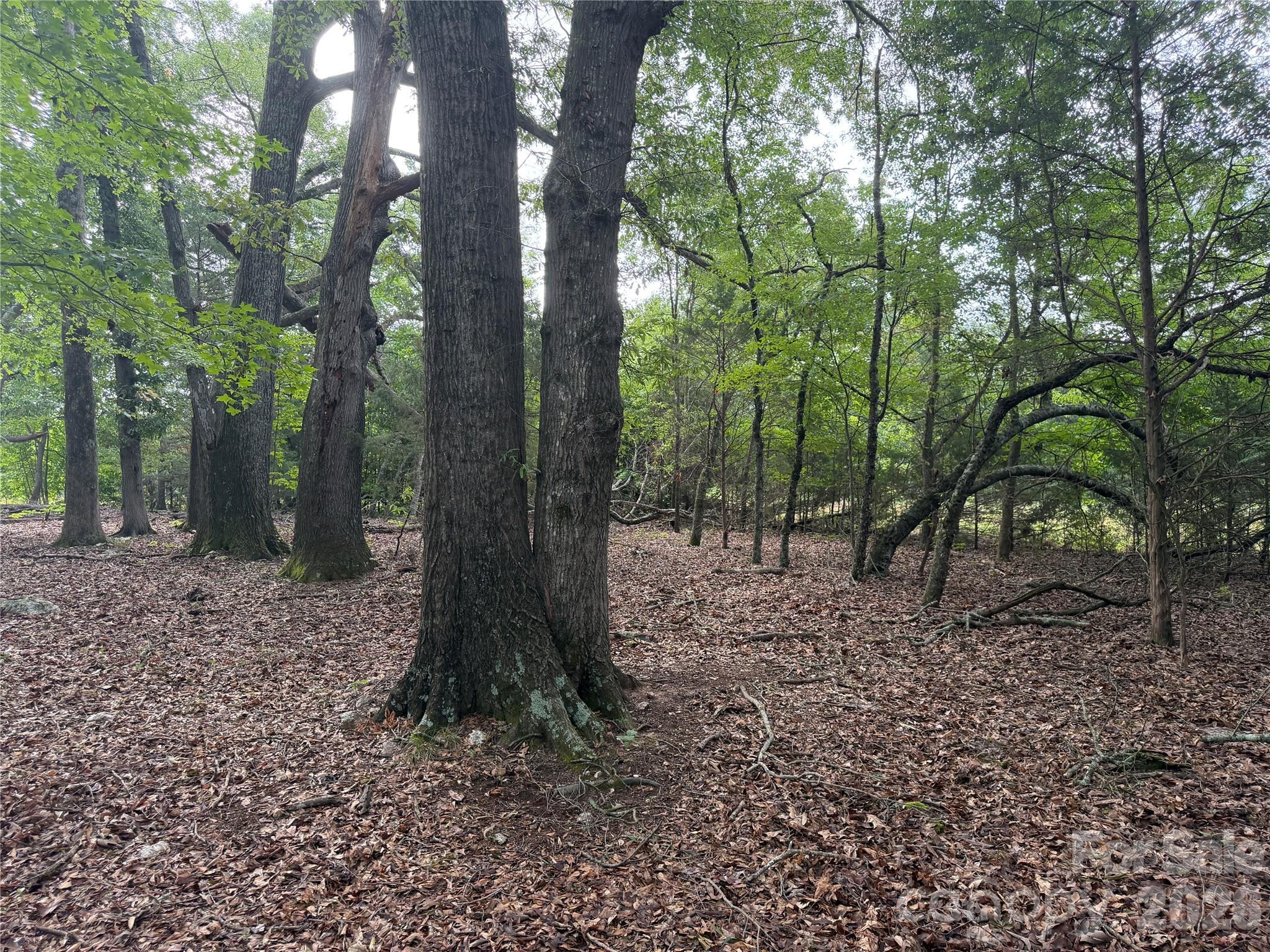 00 W Chappell Road