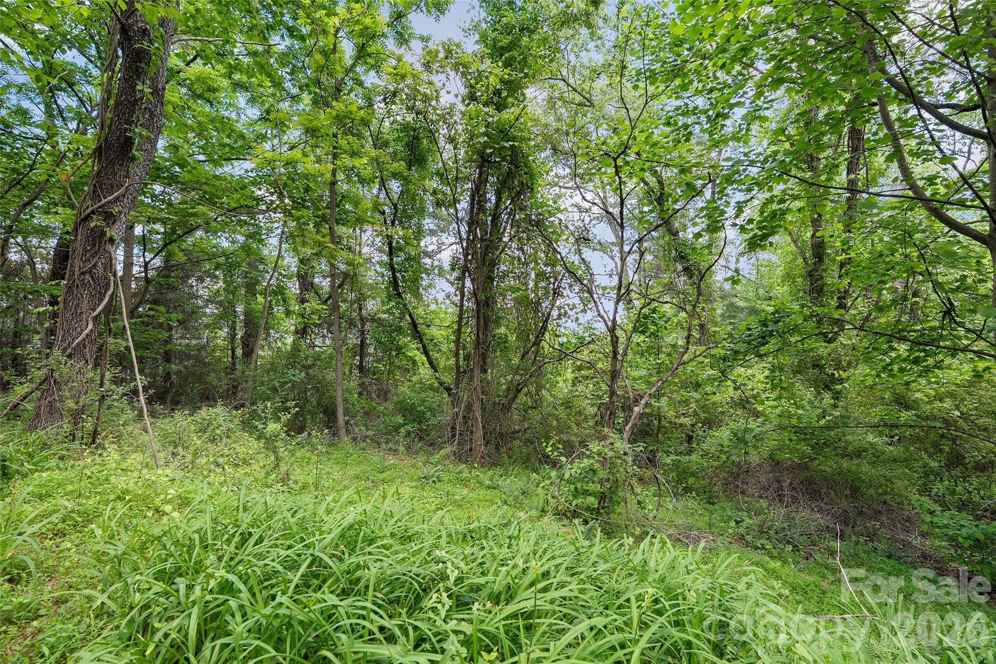 00000 Timberwood Drive