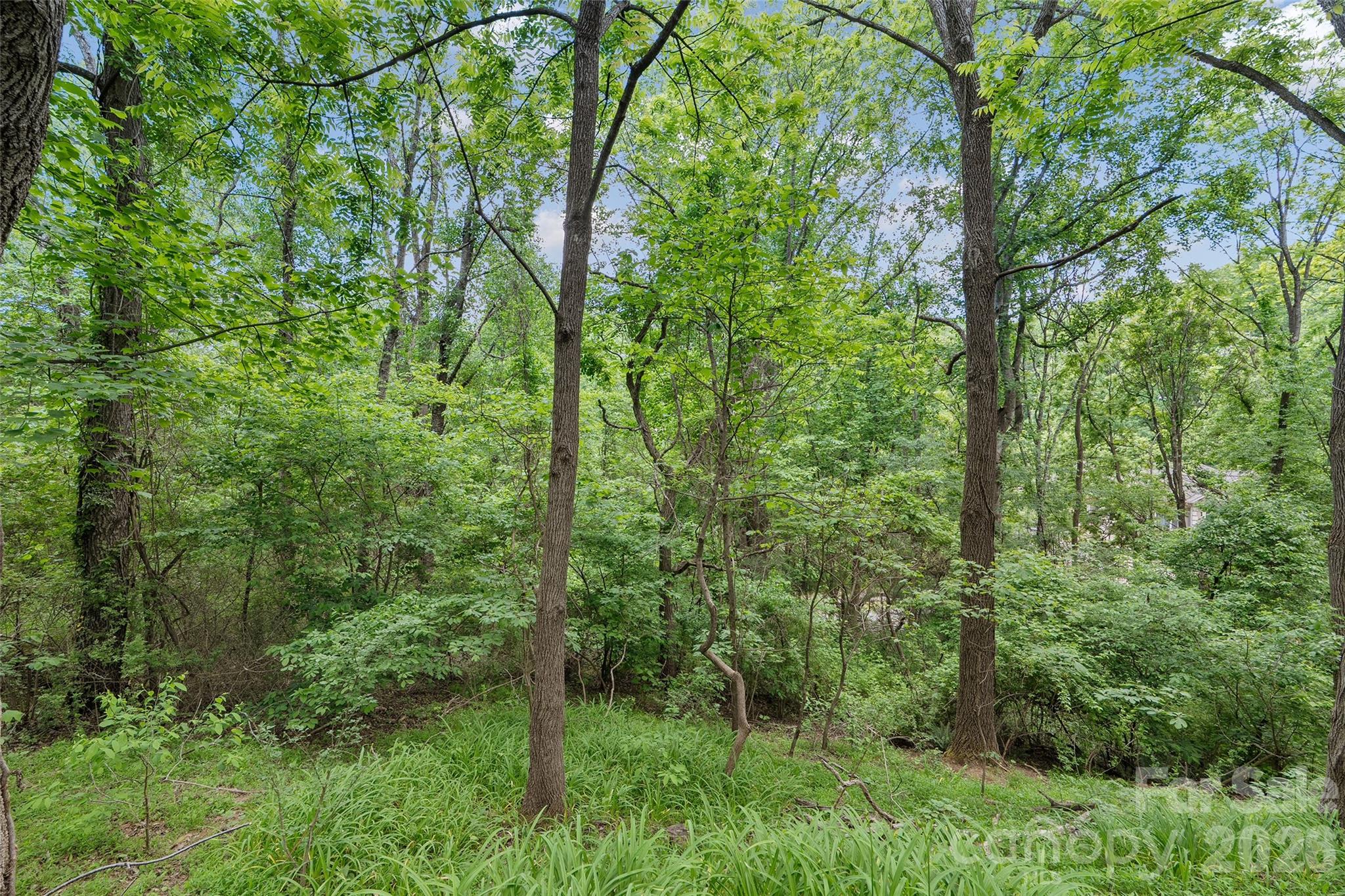00000 Timberwood Drive