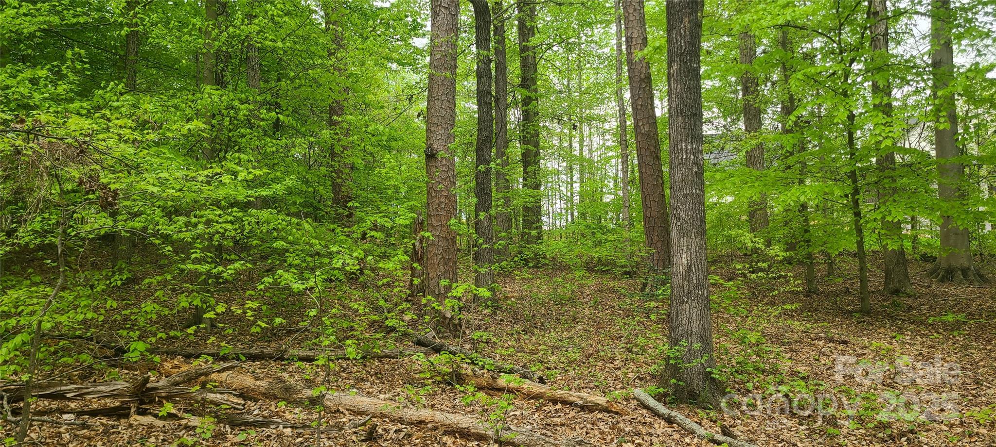 Sunset Pointe - Land