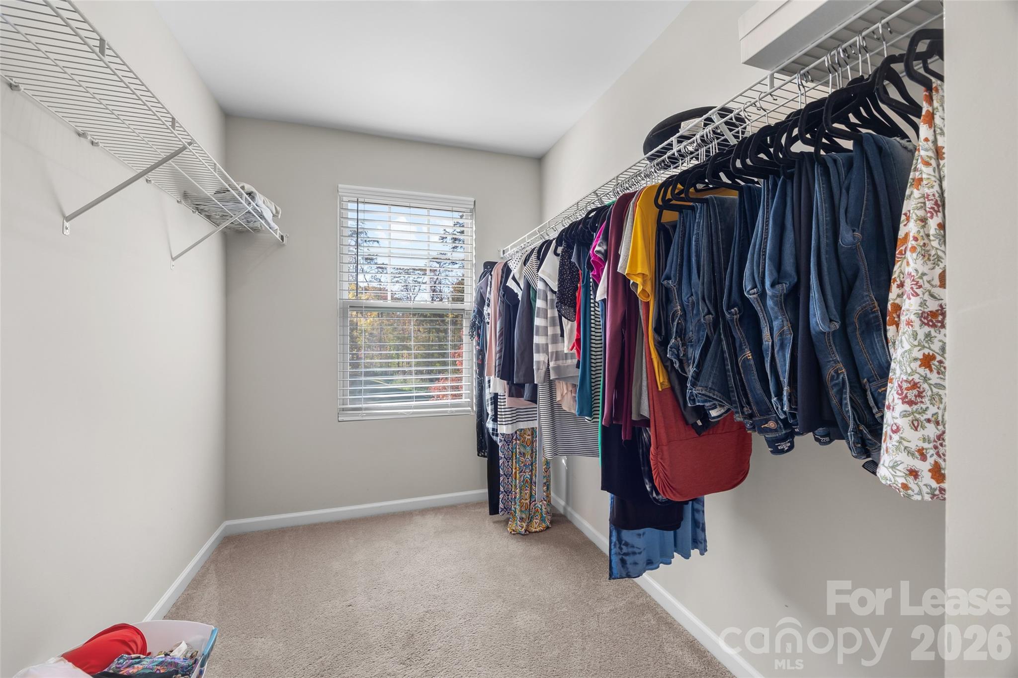 Colony at Handsmill - Residential Lease