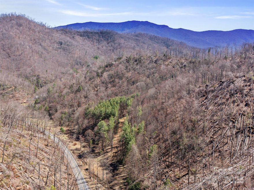 Nestled in the heart of the mountains,this stunning 36-acre retreat offers complete privacy&breathtaking natural beauty, making it the perfect sanctuary for those seeking a peaceful escape. A well-maintained road provides easy access off Hwy 226,leading up to a serene clearing surrounded by lush foliage, trickling streams&enchanting moss-covered rocks. The land holds remarkable potential, with a former house seat already established & natural spring water source. While no official septic records are available, a visible clean-out cap suggests an existing system. Electricity is accessible on-site, making this an ideal location for a hunting cabin, camper, or dream mountain home. Spring Creek gently borders the property near the highway, while the vast expanse of the National Forest flanks the left side, offering endless exploration opportunities. Though secluded, the property’s proximity to the state line ensures that shopping, dining&modern conveniences are just a short drive away. Sellers will consider 1 year owner financing with accepted offer.