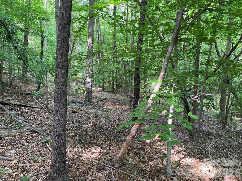 Lake Norman Woods - Land