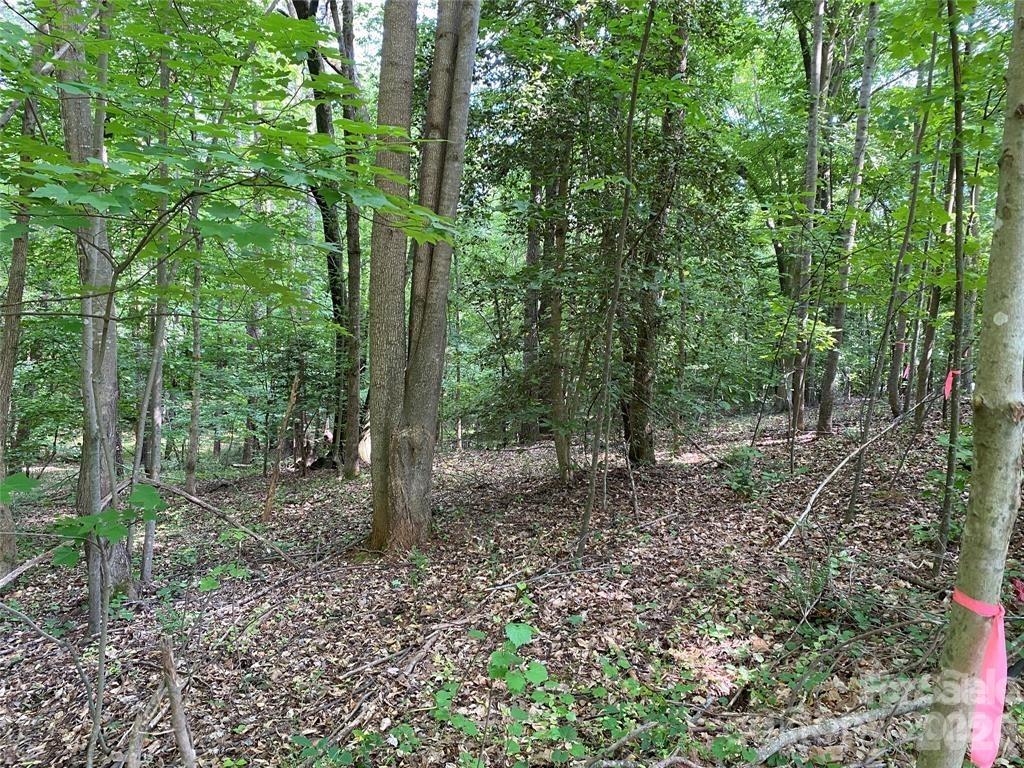 Lake Norman Woods - Land