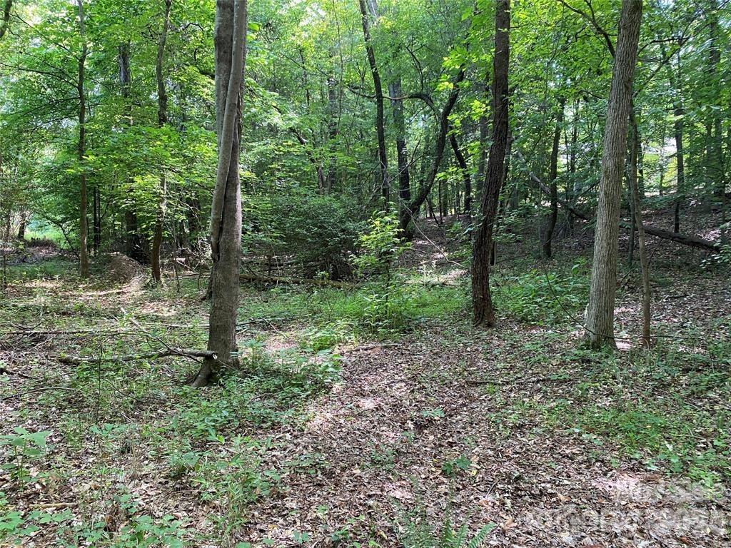 Lake Norman Woods - Land