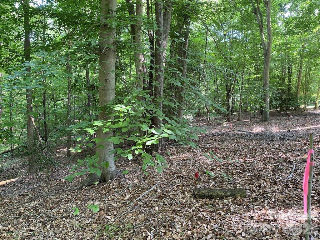 Lake Norman Woods - Land