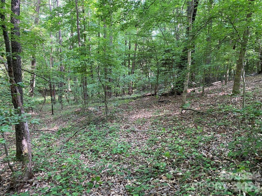 Lake Norman Woods - Land