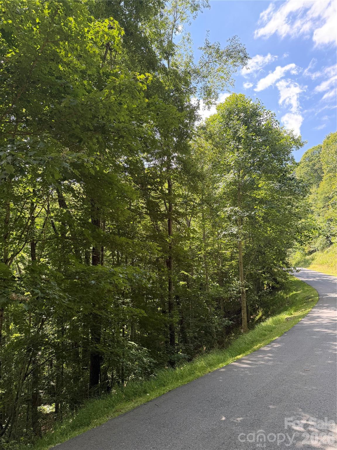 00 Chestnut Village Lane