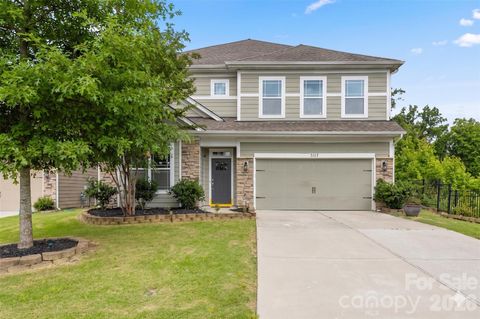 Photo of 1042 DINA Drive, Fort Mill, SC 29708 (MLS # 4391817)