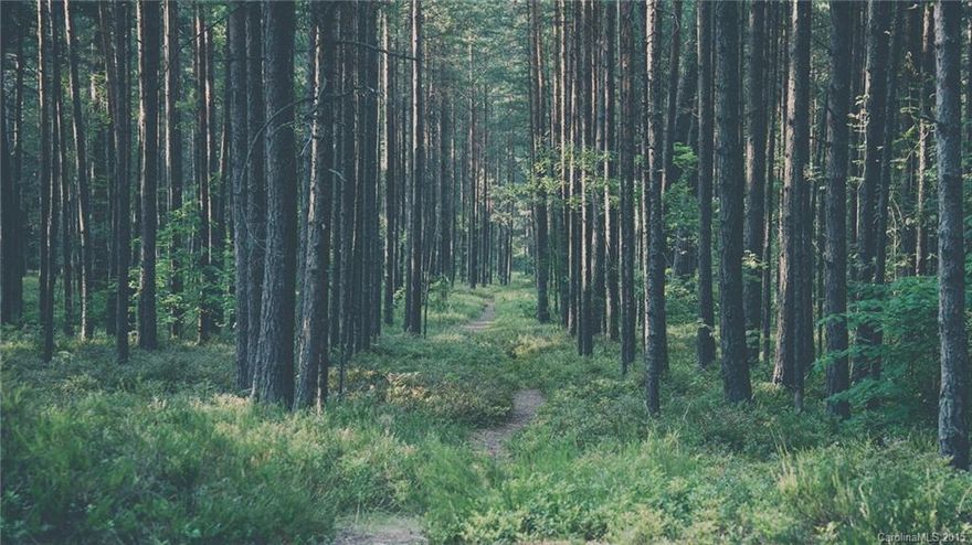 Discover Riverchase Estates,a gated 2,000 acre community of estate homesites,just 30 minutes from Charlotte, NC on the shores of the Catawba River. This is your opportunity to own the homesite of your dreams at a tremendous value. Riverchase Estates Offers:Pre-Development Pricing,500 Acre Nature Preserve,Low Taxes,Buy Now,Build Later,Bring your own Builder,Wooded & Waterfront Lots,Luxurious Amenity Center w/ Resort Style Pool,Playground,Basketball/Tennis Courts,Canoeing,Kayaking and more.