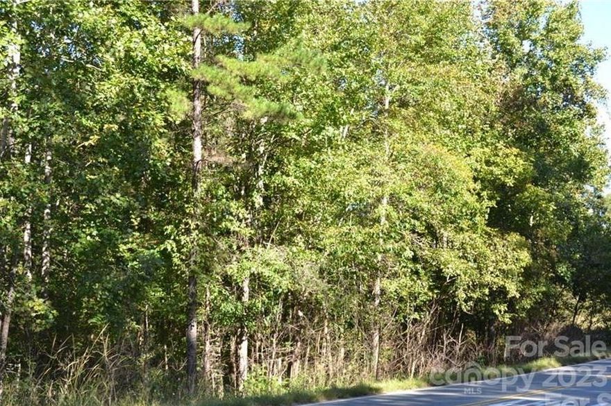 Ready to build and want some privacy? Take a look at this wooded lot! Centrally located near Harrisburg, Mount Pleasant and Midland.  Don't miss this jewel just waiting for your builder to create your dream home! A stream runs through the property and will need a culvert for the driveway.  Estimates received were $2-$3k for a driveway over the stream. There is a driveway off of Hwy 200 that is a private drive. Please do not drive down this driveway.  Survey has been done.  Please have an agent accompany you when viewing the property.