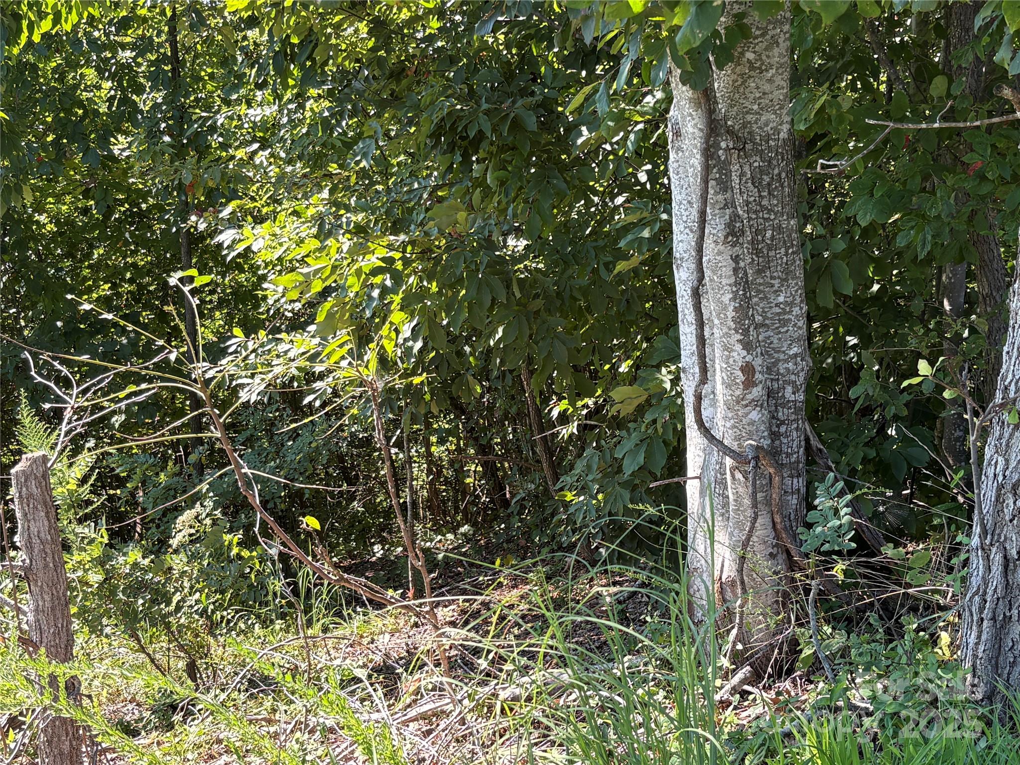 South Mountain Peaks - Land